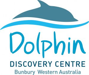 Dolphin-Discovery-WA_HR-300x254