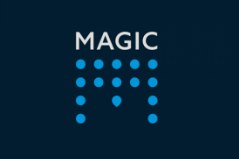Magic Hand Carwash Logo