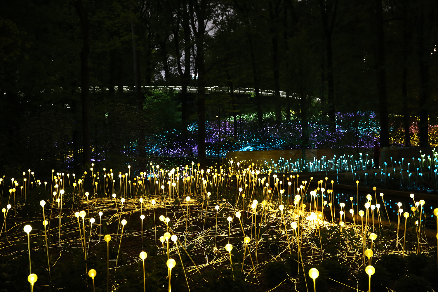 Atlanta_Botanical_Garden_Forest_of_Light_2015_Image_courtesy_Bruce_Munro_Studio