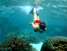 Man swimming in Ningaloo