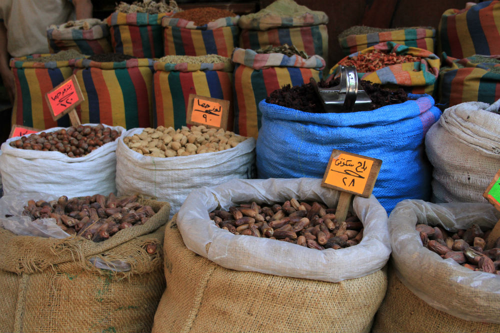 TT_Egypt1_Content