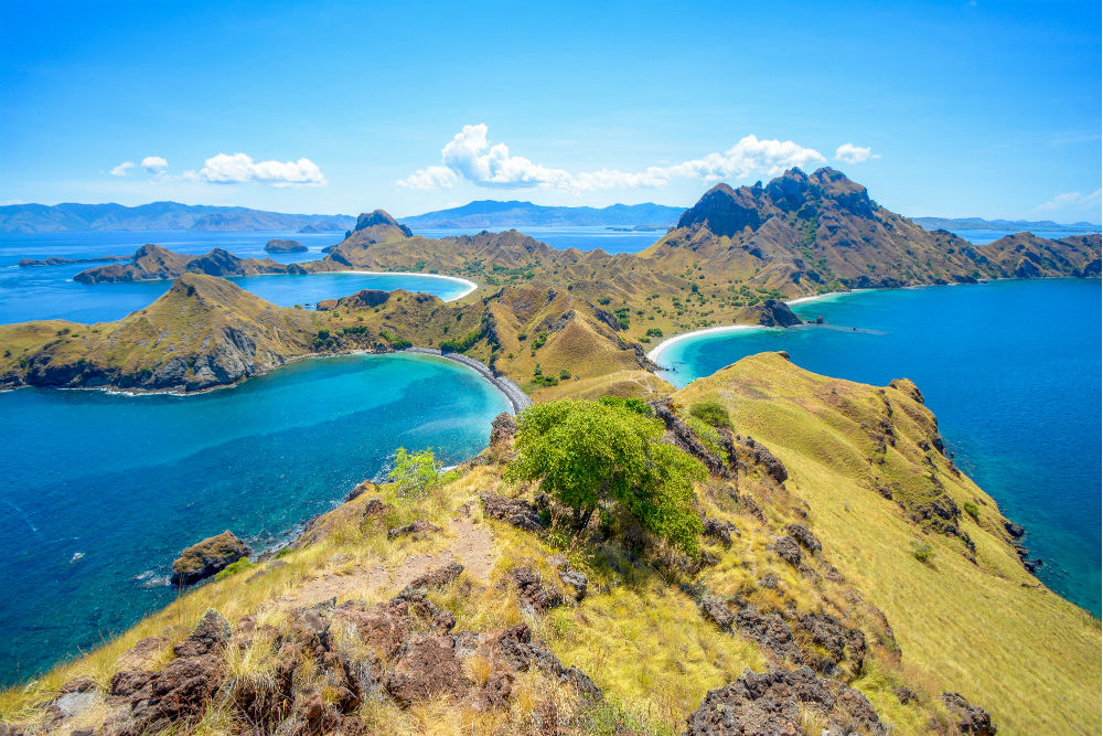 TT_Komodoisland_Content