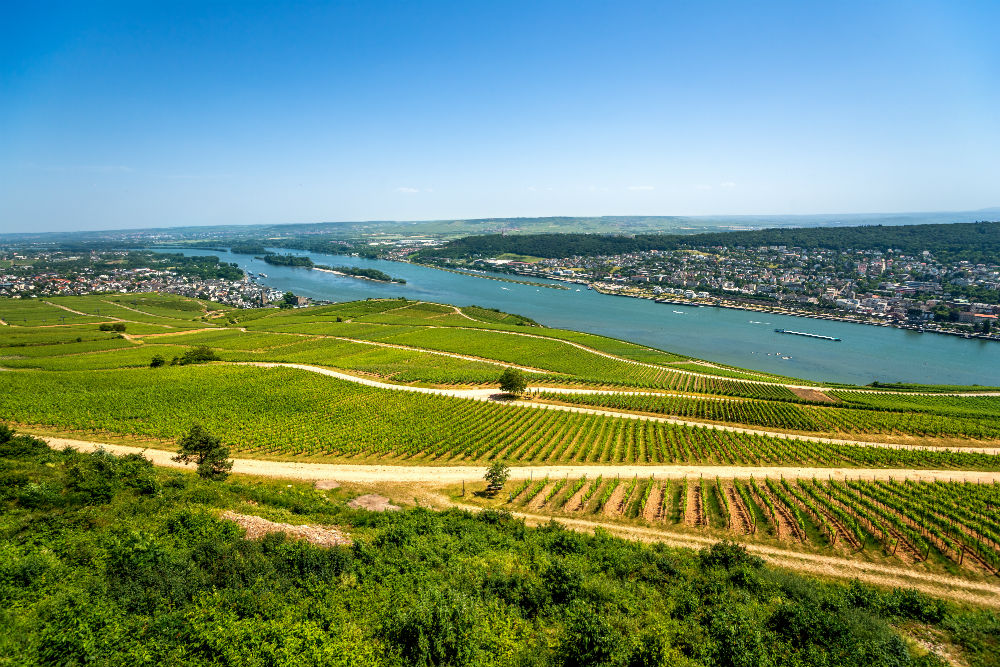 TT_Rhone_Content